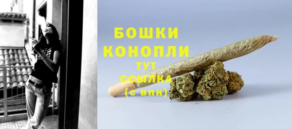 ешки Медногорск