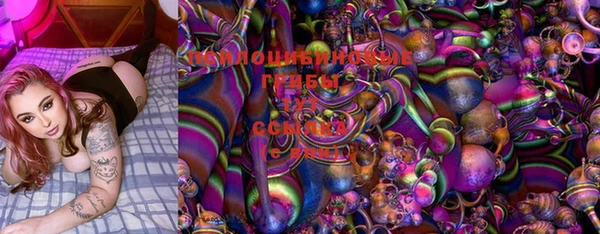 ешки Медногорск