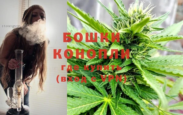 ешки Медногорск